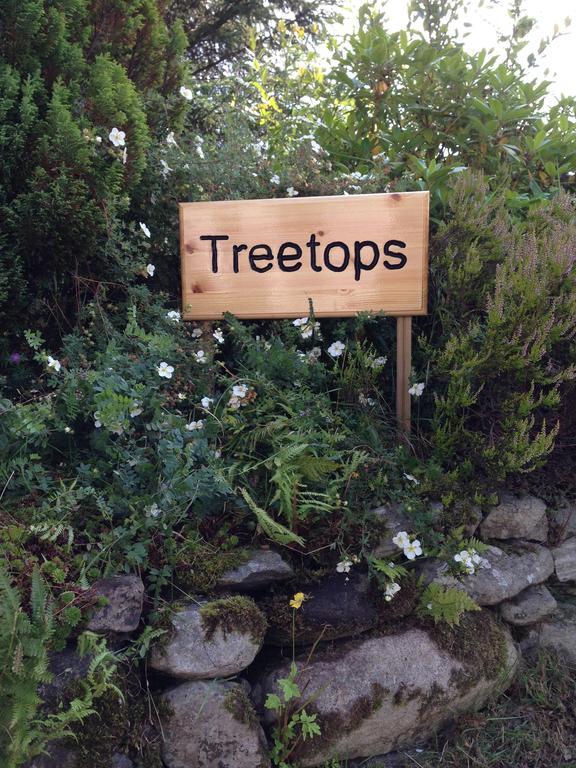 Treetops Bungalow Loch Ness Drumnadrochit Camera foto